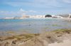 Filename=DSC_0150.JPG
Filesize=855KB
Dimensions=1600x1071
Date added=Mar 06, 2008 DSC_0150.JPG