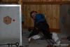 Filename=DSC_4283.JPG
Filesize=298KB
Dimensions=800x536
Date added=Nov 13, 2009 DSC_4283.JPG