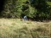Filename=Schliersee-2014-DSC_0221.JPG
Filesize=991KB
Dimensions=1600x1200
Date added=Sep 28, 2014 Schliersee-2014-DSC_0221.JPG